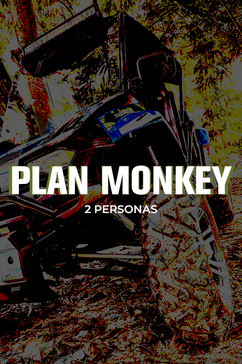 Plan Monkey